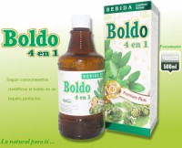 EXTRACTO X 500 ML DE BOLDO